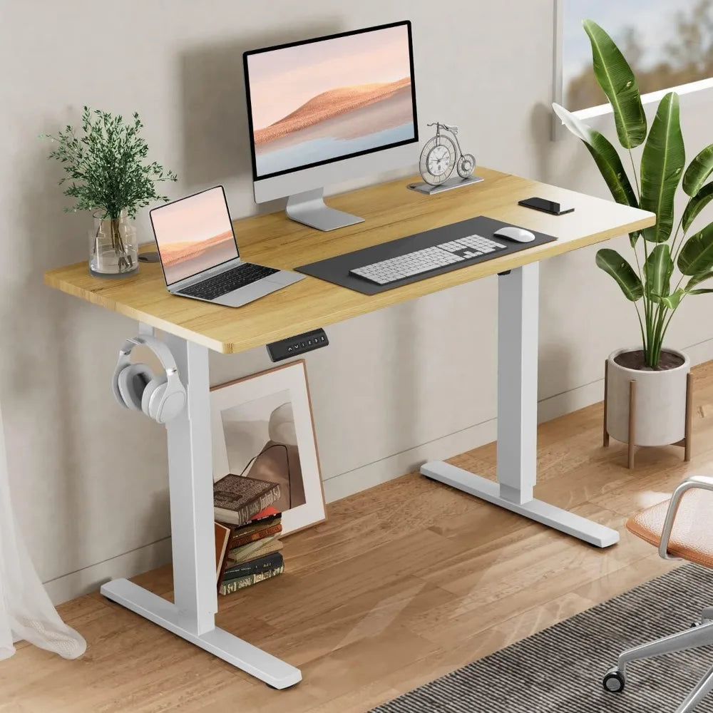 Adjustable Height Electric Sit Stand Up Down Computer Table, 40x24 Inch Ergonomic Rising Desks for Work Office Home, Modern